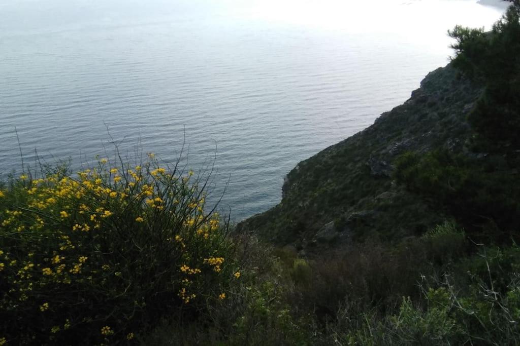 Nice Apartment On The Coast To Relax And Work Картахена Экстерьер фото